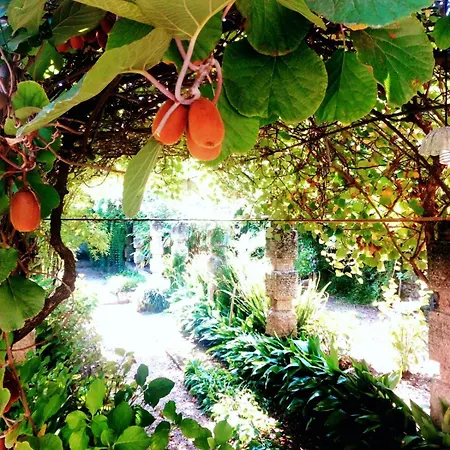 Alojamento de Acomodação e Pequeno-almoço Oddi21 Albenga