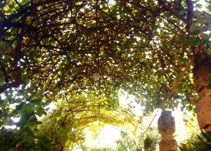 Alojamento de Acomodação e Pequeno-almoço Oddi21 3*