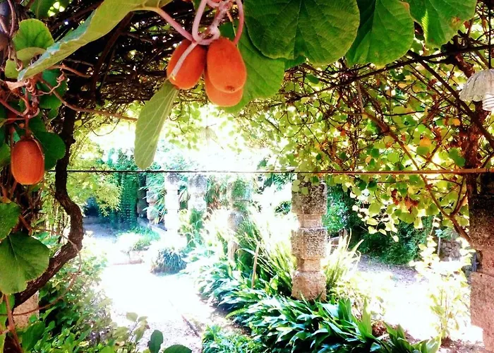 Alojamento de Acomodação e Pequeno-almoço Oddi21 Albenga