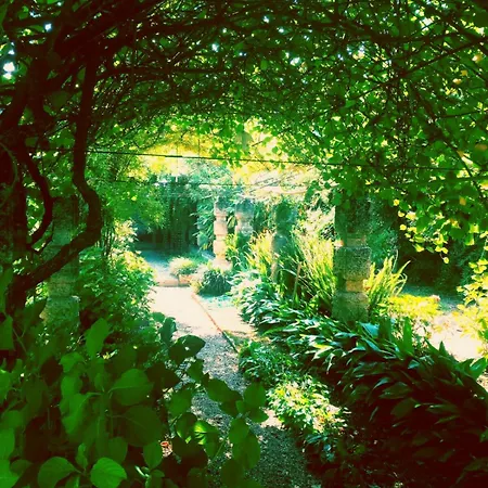 Oddi21 Couette-café Albenga